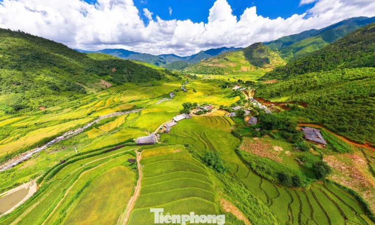 Bức tranh mùa thu ruộng bậc thang không thể rời mắt ở Sơn La - 1