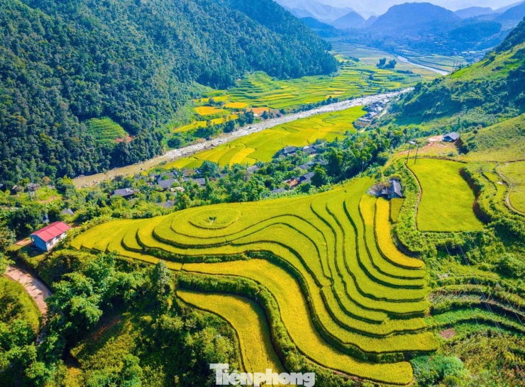 Bức tranh mùa thu ruộng bậc thang không thể rời mắt ở Sơn La - 2