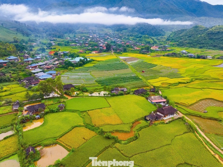 Bức tranh mùa thu ruộng bậc thang không thể rời mắt ở Sơn La - 4