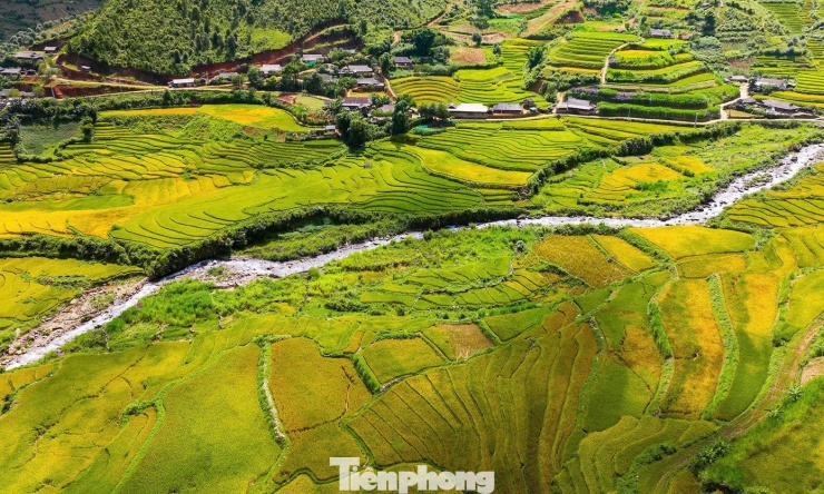Bức tranh mùa thu ruộng bậc thang không thể rời mắt ở Sơn La - 6