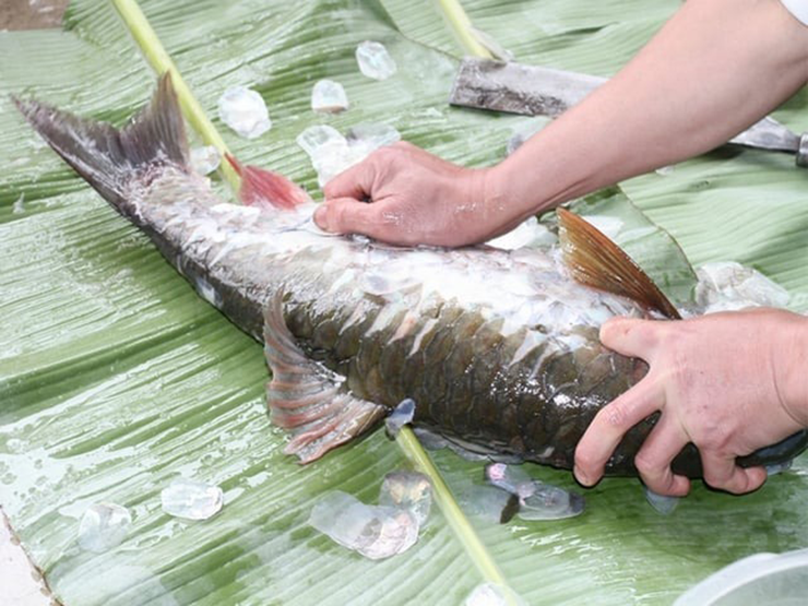 Ở Vị Xuyên (Tuyên Quang), người Tày nuôi cá bỗng trong ao bằng phương thức hoàn toàn tự nhiên. Nước dẫn từ suối đầu nguồn, khe đá mát lành giúp cá khỏe mạnh, ít bệnh tật và giữ nguyên hương vị tự nhiên. Ở Vị Xuyên (Tuyên Quang), người Tày nuôi cá bỗng trong ao bằng phương thức hoàn toàn tự nhiên. Nước dẫn từ suối đầu nguồn, khe đá mát lành giúp cá khỏe mạnh, ít bệnh tật và giữ nguyên hương vị tự nhiên.