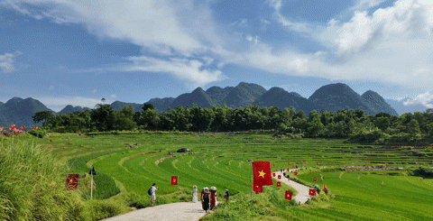 Khung cảnh rực rỡ trên cung đường chữ S ở xã Pù Luông hút khách check-in. Nguồn: Linh Giang