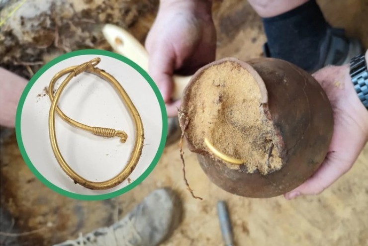 Khám phá khu rừng, 5 tuần đào được 3 kho báu