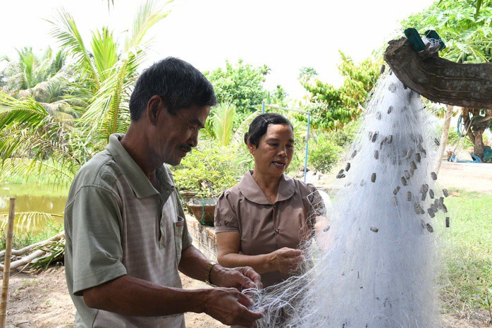 Vợ chồng ông Lục