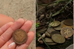 Kinh doanh - Đồng peso Cuba mất giá mạnh