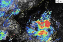 Bộ Nông nghiệp và Môi trường họp khẩn để ứng phó với bão Kajiki