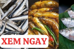 Tin tức sức khỏe - 3 loại cá cực giàu canxi, tốt cho xương khớp 