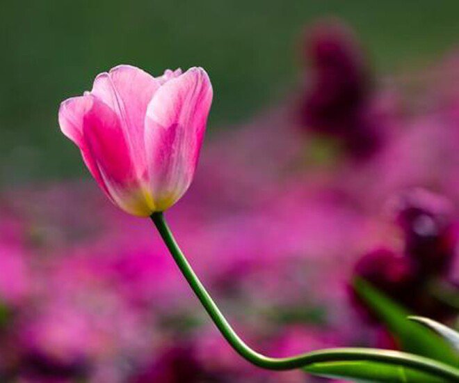 Người khôn ngoan không bận tâm 3 điều: Càng mặc kệ, cuộc sống càng may mắn - 1