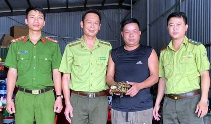 Anh Huy (áo đen) bàn giao cá thể rùa núi vàng cho ngành chức năng.
