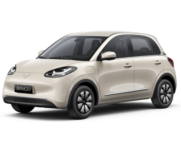 Một chiếc xe được TMT Motors phân phối với giá 399 triệu đồng. Ảnh: TMT Motors