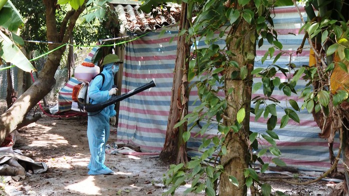 Mặc dù thường xuyên phun khử trùng, vệ sinh chuồng trại nhưng nhiều hộ dân vẫn không kiểm soát được dịch tả heo châu Phi