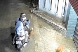 An ninh - Xã hội - 2 thanh niên dùng súng tự chế bắn trộm chó giữa khu dân cư