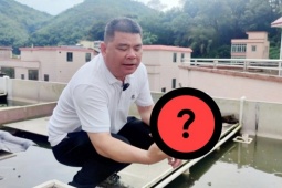 Người lười nuôi loài “chậm chạp”, mỗi năm nhẹ nhàng đút túi vài tỷ