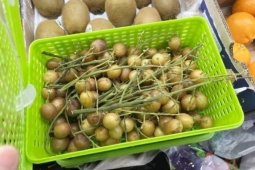 Thị trường - Tiêu dùng - Quả có hạt ở Việt Nam, ở nước ngoài bán loại không hạt đắt gấp 14 lần