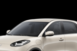 Kinh doanh - Đại gia Việt bán xe Trung Quốc bị xử lý vi phạm