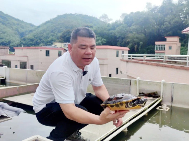 Người lười nuôi loài “chậm chạp”, mỗi năm nhẹ nhàng đút túi vài tỷ - 1