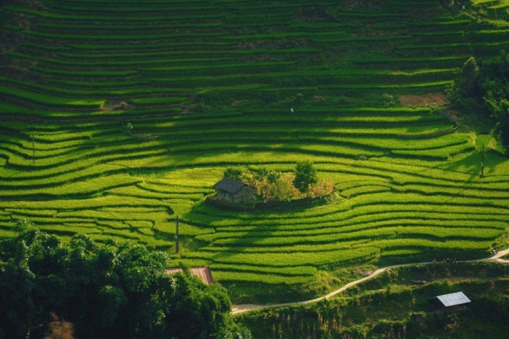 Ảnh Tuyên Parafu