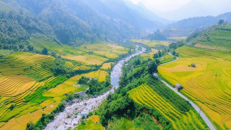 Sa Pa mùa lúa chín vàng rực, ruộng bậc thang uốn lượn cùng bản làng núi rừng tạo nên những góc sống ảo tuyệt đẹp, không thể bỏ lỡ. Ảnh Bùi Ngọc Lâm
