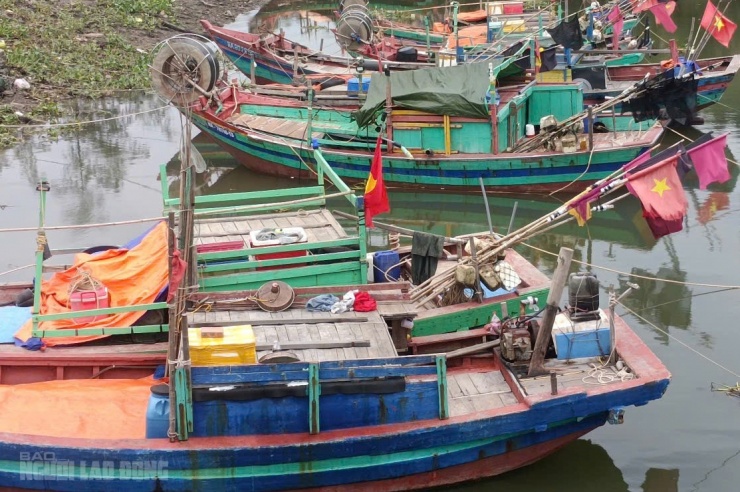 Các tàu thuyền được người dân neo đậu tại các nơi an toàn