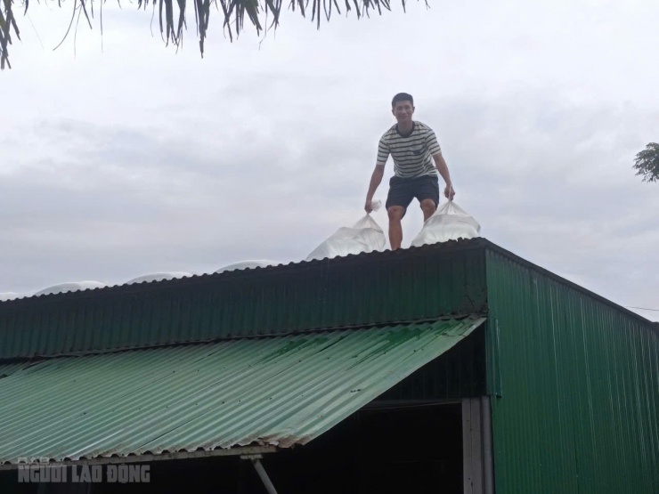 Người dân dùng bao đựng nước dằn trên mái nhà để các mái tôn khỏi bay