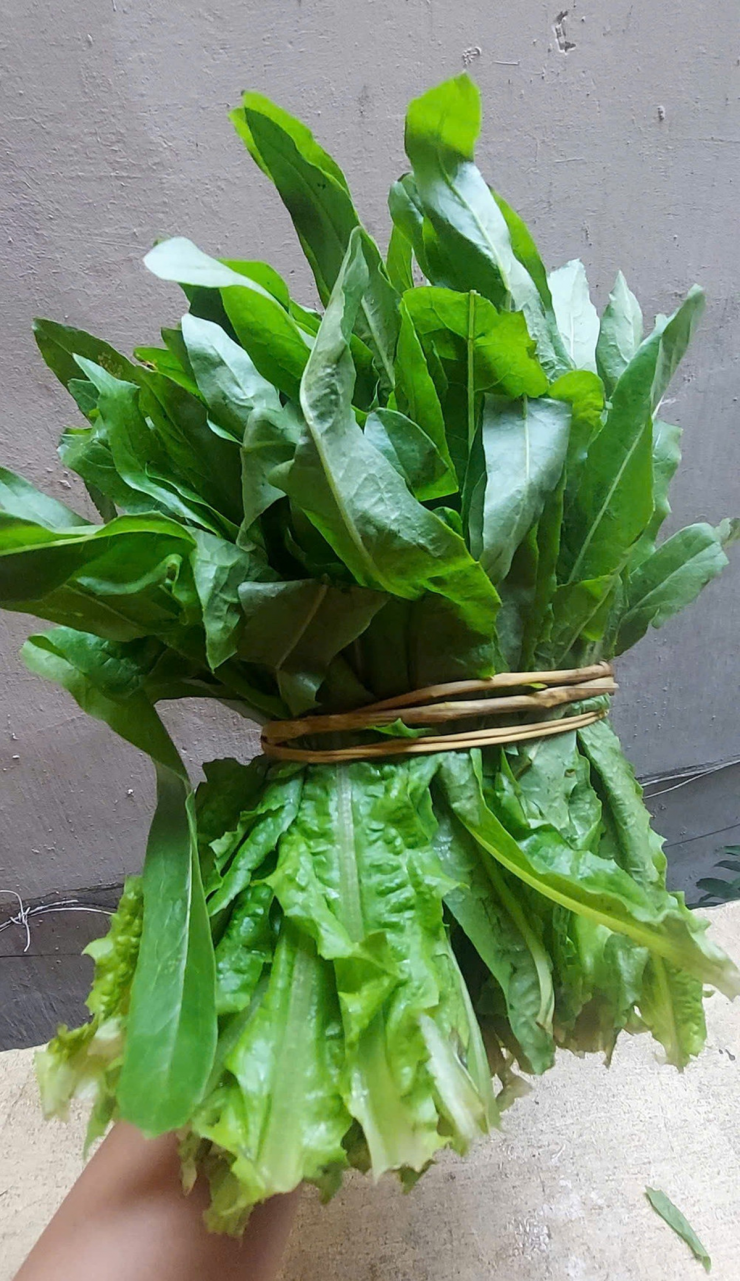 2 loại rau ít "ngậm" thuốc trừ sâu, cái số 1 đầy ở chợ nhiều người không biết mà mua - 1