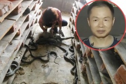 Thị trường - Tiêu dùng - Từ “chúa nợ” nay kiếm vài trăm tỷ/năm nhờ nuôi loài ai thấy cũng khiếp vía