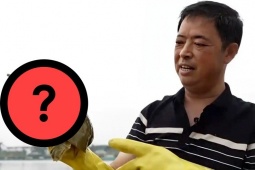 Thị trường - Tiêu dùng - Nuôi con “toàn thân là thuốc”, kiếm hơn 200 tỷ/năm dễ như chơi