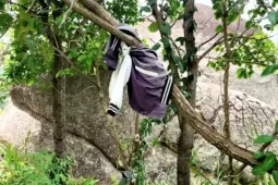 An ninh - Xã hội - Lấy mẫu xương, quần áo để truy tìm tung tích nạn nhân vụ phát hiện bộ xương dưới gốc cây