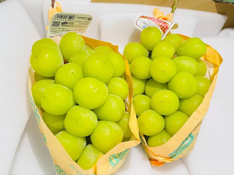 Nho sữa Nhật Bản có giá hàng triệu đồng/kg. (Ảnh: Vũ Thảo).