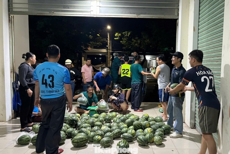 Dưa hấu được đưa về bán tại hai điểm là chợ Nam Ô và số 172 Nguyễn Văn Cừ ngay trong đêm. "Bà con đã cắt hàng tấn dưa mang về nhà nhưng mưa gió nên thương lái không lấy, một số đầu mối thì không liên hệ được. Dưa đã chín, để càng lâu càng dễ hỏng nên phường kêu gọi các lực lượng hỗ trợ vận chuyển, bán dưa giúp bà con nông dân", ông Vũ nói. Ảnh: T.H.