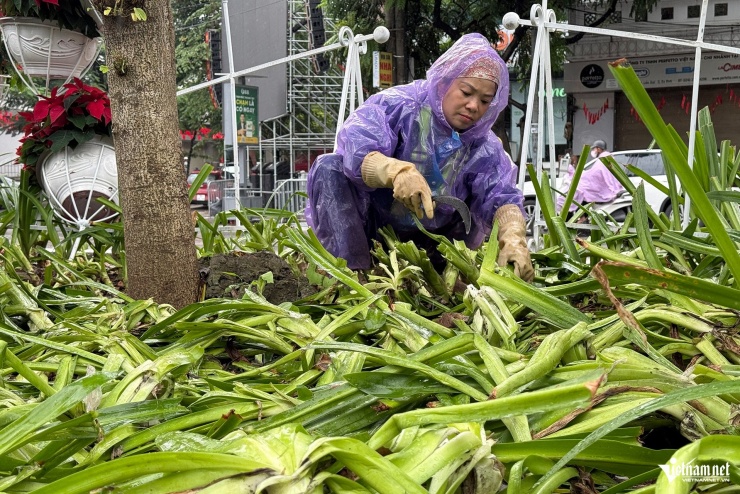 Cảnh tượng khó tin sau buổi tổng hợp luyện, cây, hoa bị dân giẫm nát tơi tả - 4