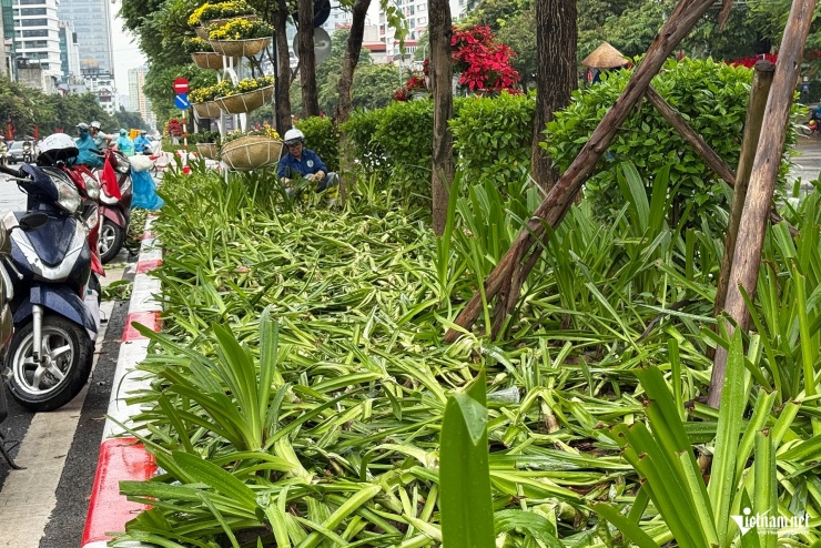 Cảnh tượng khó tin sau buổi tổng hợp luyện, cây, hoa bị dân giẫm nát tơi tả - 3