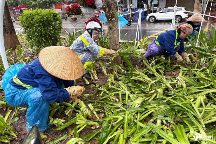 Cảnh tượng khó tin sau buổi tổng hợp luyện, cây, hoa bị dân giẫm nát tơi tả - 6