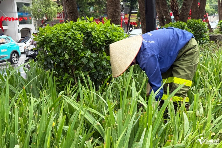 Cảnh tượng khó tin sau buổi tổng hợp luyện, cây, hoa bị dân giẫm nát tơi tả - 9