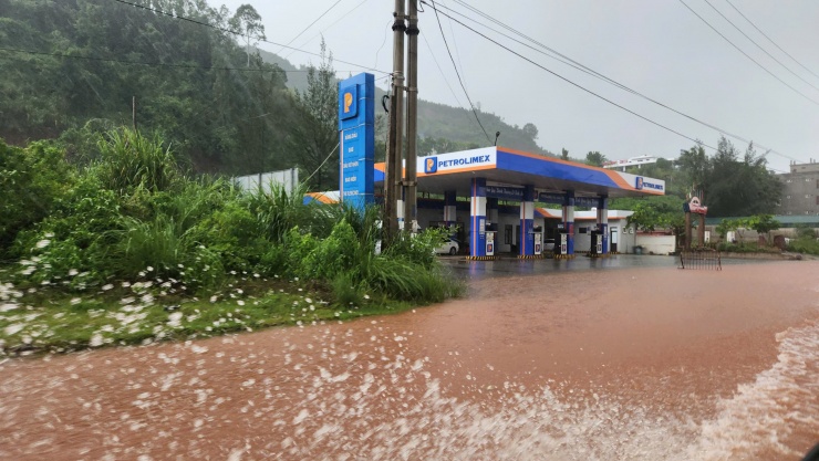 Trước giờ "G" bão số 5 Kajiki đổ bộ, mưa trắng trời, cây đổ, gió giật mạnh - 5