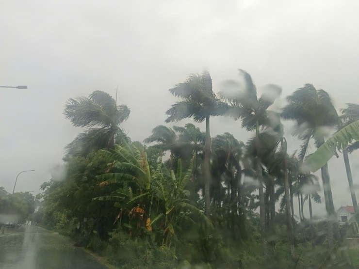 Trước giờ "G" bão số 5 Kajiki đổ bộ, mưa trắng trời, cây đổ, gió giật mạnh - 7