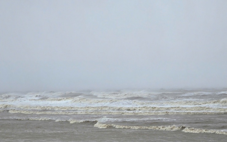 Trước giờ "G" bão số 5 Kajiki đổ bộ, mưa trắng trời, cây đổ, gió giật mạnh - 9