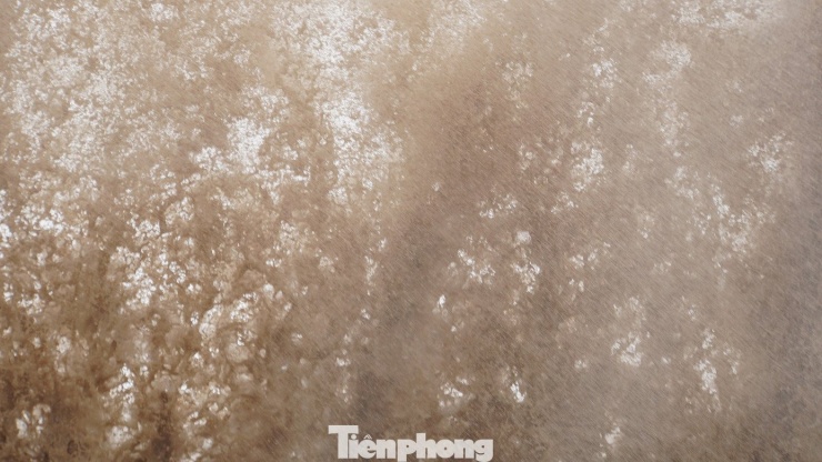 Sóng biển Đồ Sơn cao 3-4m do ảnh hưởng bão số 5 - 12