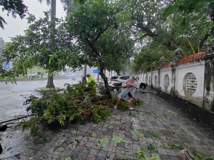 VIDEO: Cây bật gốc, gãy đổ la liệt trên phố ở Thanh Hóa do bão số 5 - 2