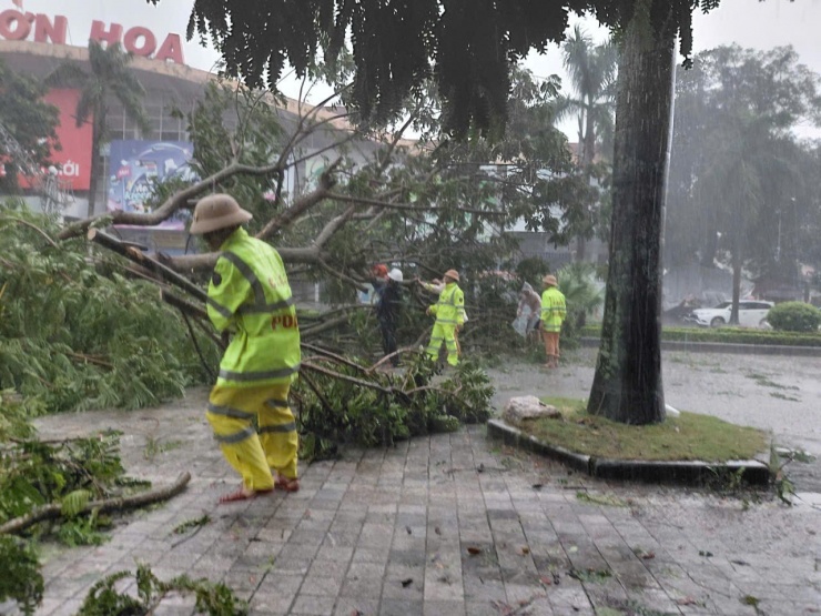 Lực lượng chức năng xử lý cây xanh bị đổ gãy chặn ngang đường