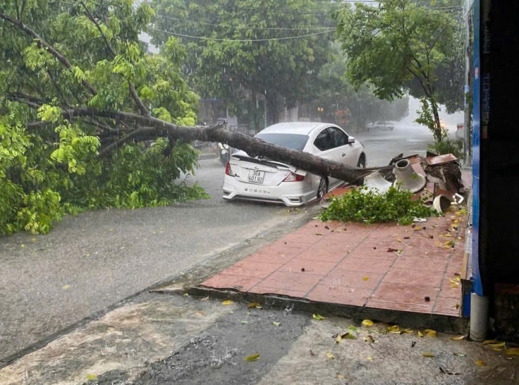 Nhiều phương tiện hư hỏng vì bị cây xanh đổ đè lên
