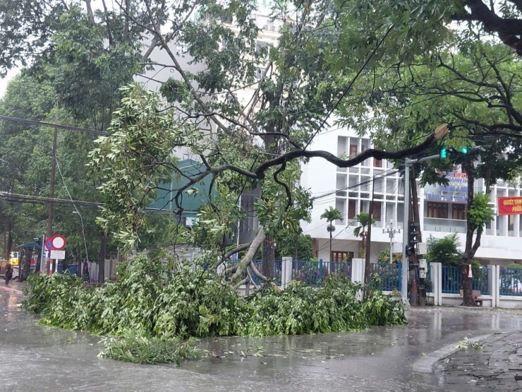 VIDEO: Cây bật gốc, gãy đổ la liệt trên phố ở Thanh Hóa do bão số 5 - 9
