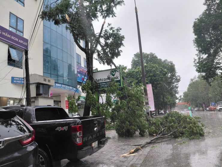 VIDEO: Cây bật gốc, gãy đổ la liệt trên phố ở Thanh Hóa do bão số 5 - 11