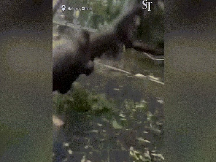 Trung Quốc: Bão số 5 quét qua đảo Hải Nam, hơn 100.000 người bị ảnh hưởng