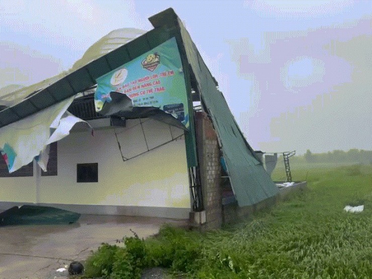 Sân Pickleball tiền tỷ giữa cánh đồng ở Hà Tĩnh bị gió bão giật đổ sập