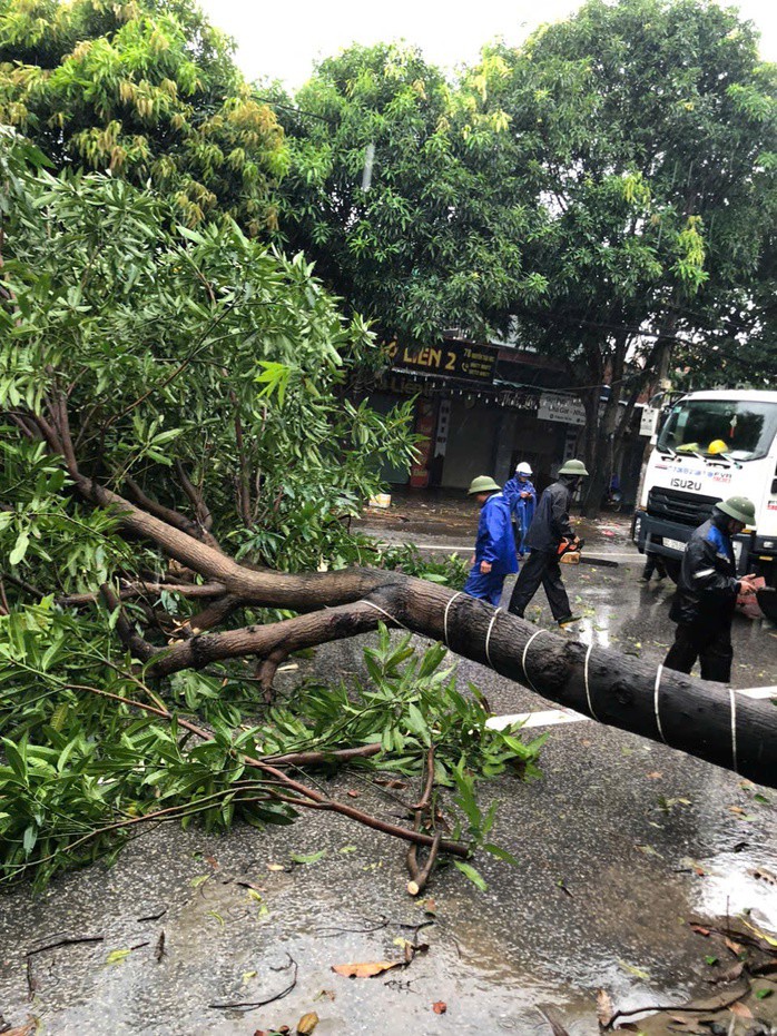 Bão số 5 khiến nhiều nhà sập, cây xanh bị gãy đổ tại tỉnh Nghệ An