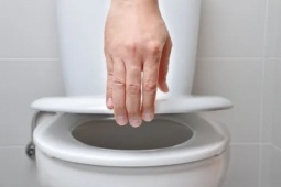 Không làm điều này sau khi đi vệ sinh, bạn dễ gặp phải "thảm họa" sức khỏe