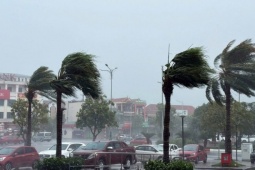 Tin tức trong ngày - Đường phố Hà Tĩnh ngập sâu, sân trung tâm thương mại thành bãi đỗ ô tô 'khủng'