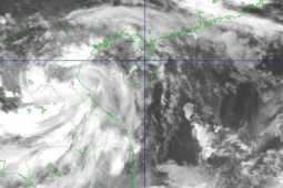 Tin tức trong ngày - Bão số 5 dị thường "quần thảo" nhiều giờ ở Nghệ An và Hà Tĩnh