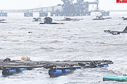 Tin tức trong ngày - Cận cảnh bão số 5: Dự báo tàn phá kinh hoàng, miền Trung oằn mình chống bão